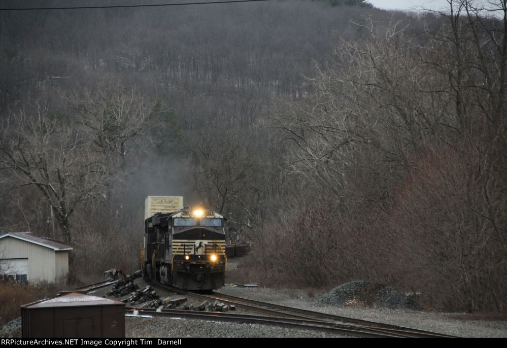 NS 9887 leads 264-20